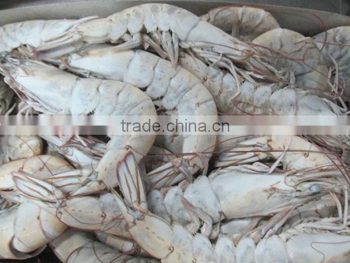 Pure and Fresh Frozen Vannamei PUD Shrimp for Various Food Dishes