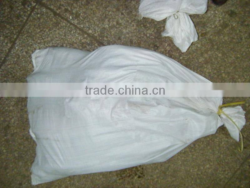 Frozen Skipjack Tuna Whole Round