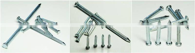 sell cheap galvanized concrete nails/nails