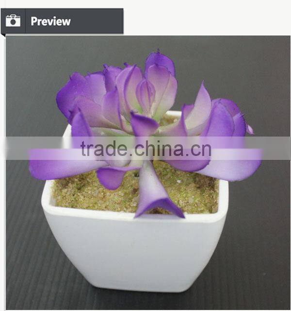 Mini potted succulents plants factory selling mini artificial succulents