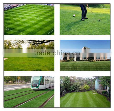 Nylon short Artificial grass for Golf grass Fringe synthetic grass manufacturer