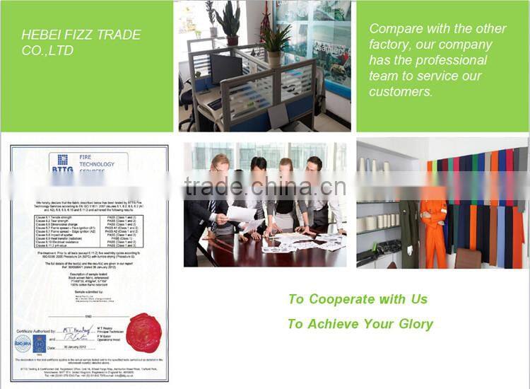 EN11611 EN11612 Fire Retardant Fabric proban/CP treatment fireproof waterproof anti-static fabric for industry