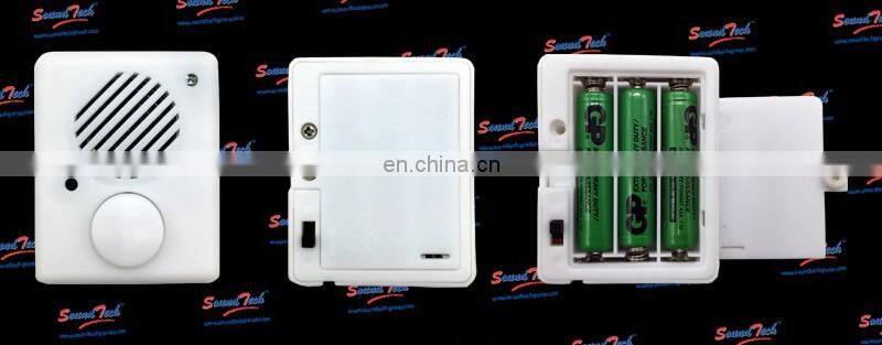 Recordable Sound Modules
