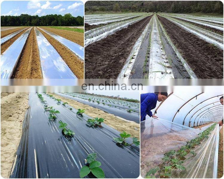 6 mil Three / Five Layers Tube clear Greenhouse film for agriculture