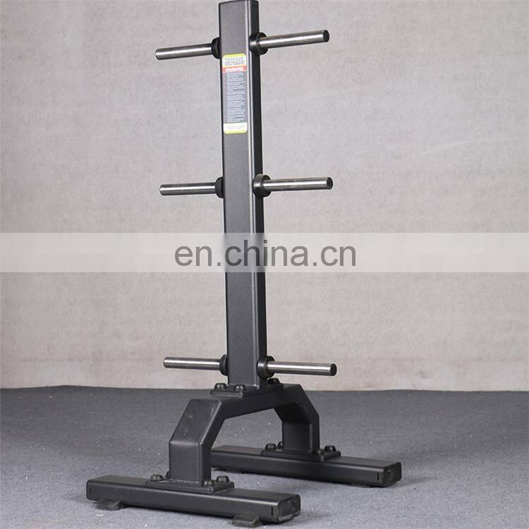Fitness equipment for the commercial gym vertical plate tree
