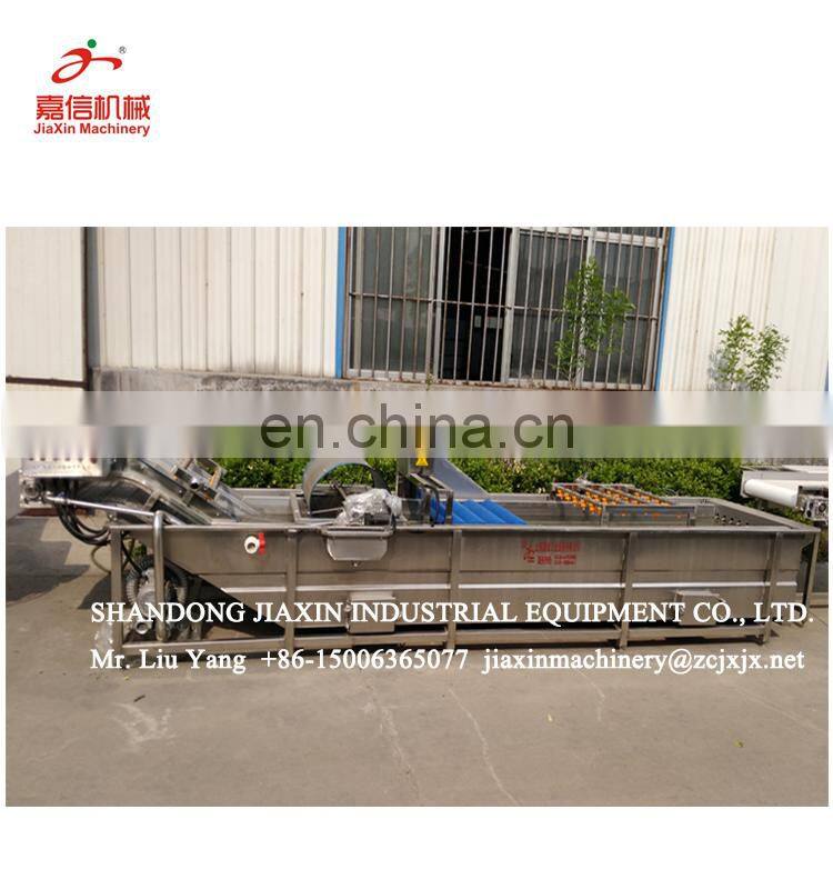 Air bubble industrial fruit and vegetable washer machine price
