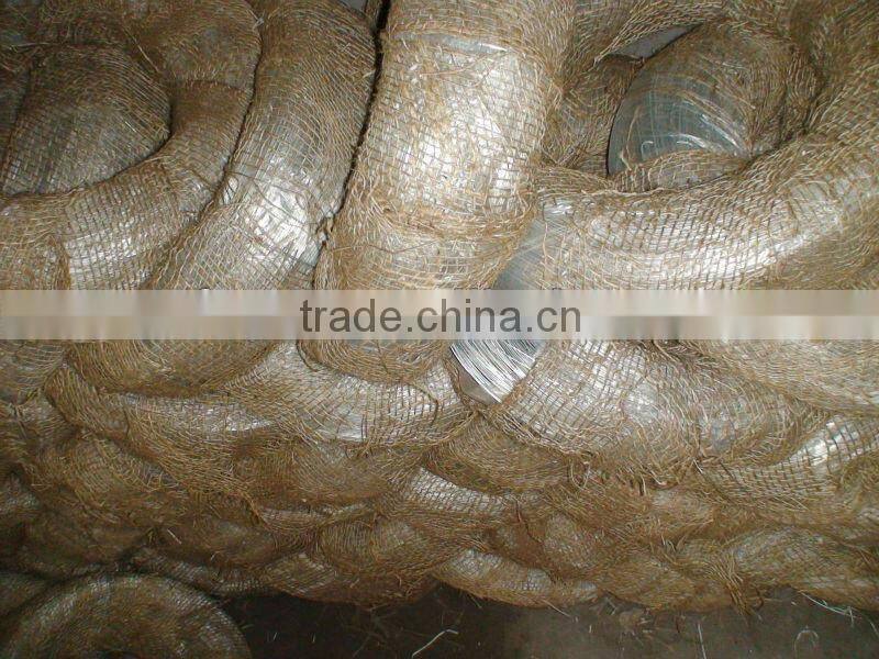 hot saled galvanized wires