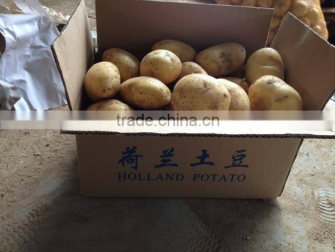 Chinese fresh potato packing in carton