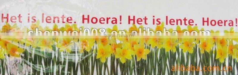 princess girl removable window sticker