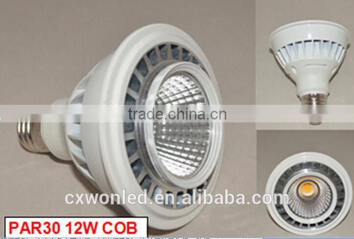 Cheap Price E27 LED PAR 30, White 12W PAR 30 LED, E27 High Power PAR 30
