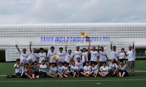 High quality inflatable igloo event tent, geodesic dome tent for event