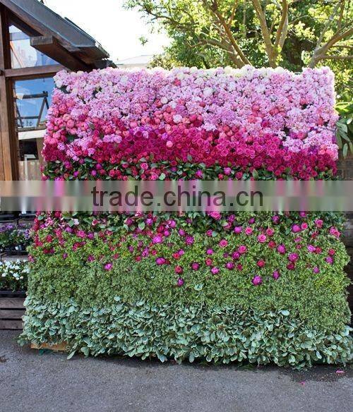 3ft x 6ft Finished Ombre Rose Flower Wall for Wedding