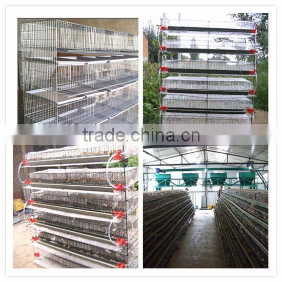 good quality commercial metal quail cages for sale