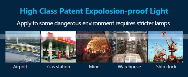 20W 40W 60W IP65 Outdoor Mine Airport Warehouse High Bay Gas Station Explosion Proof Light