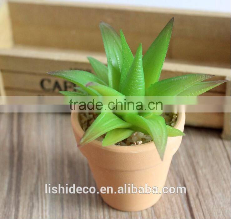 High Quality Artificial Succulent Plants Export Succulent Plants