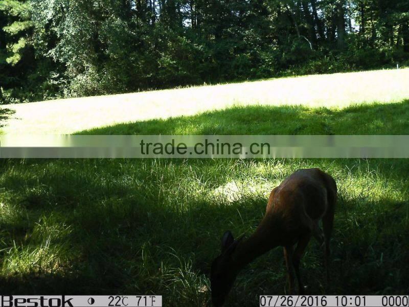 New Product Hunting Night Vision Thermal Imaging China Mini Hidden Hunting Trail Camera