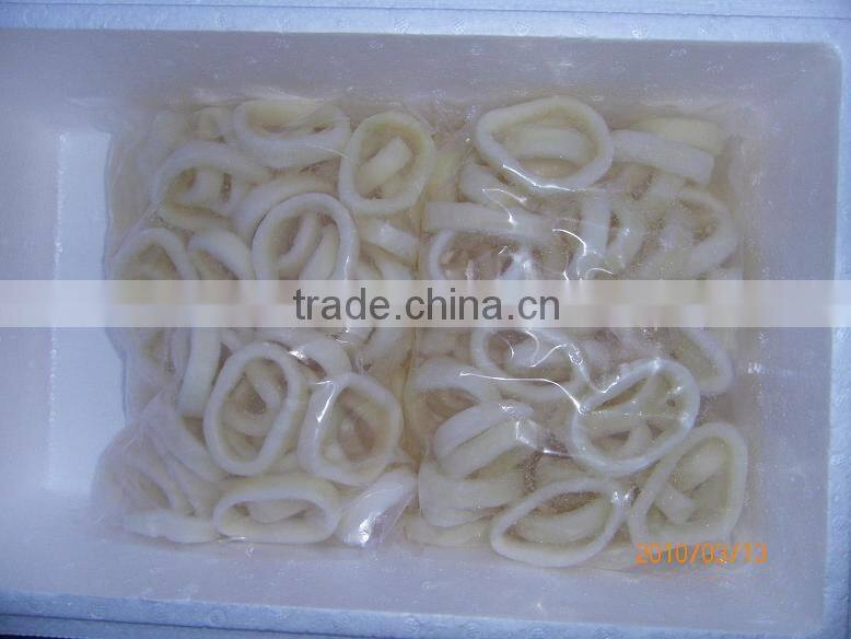 Frozen Squid