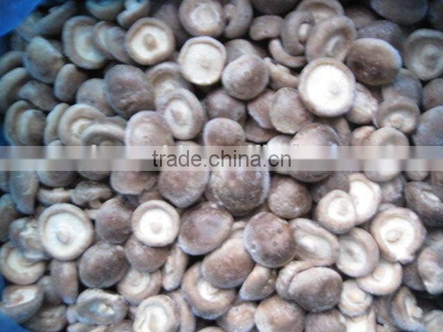 IQF frozen shiitake mushroom