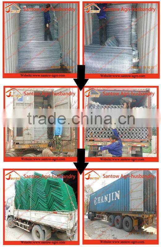 Hot Galvanized Automatic Battery Cage for Laying Hens
