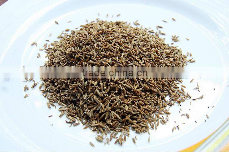 BEST BRONW CUMIN SEED / JEERA FROM INDIA