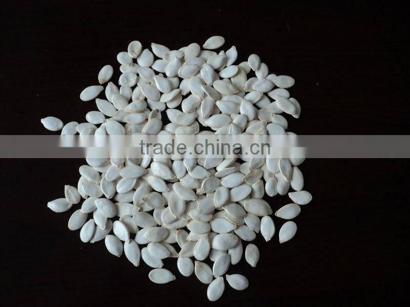 Snow White Pumpkin Seeds in shell