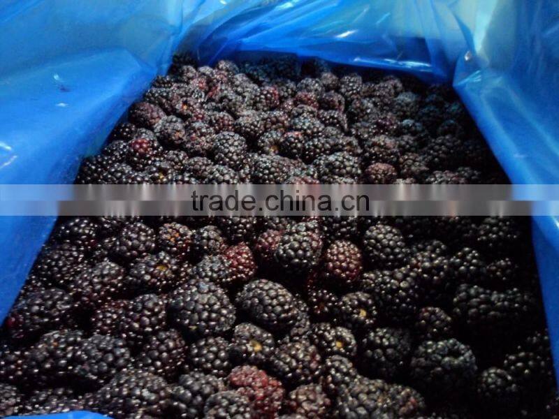 High quality frozen IQF balckberries,