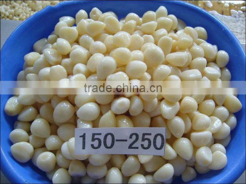 Salted garlic in brine 250-350