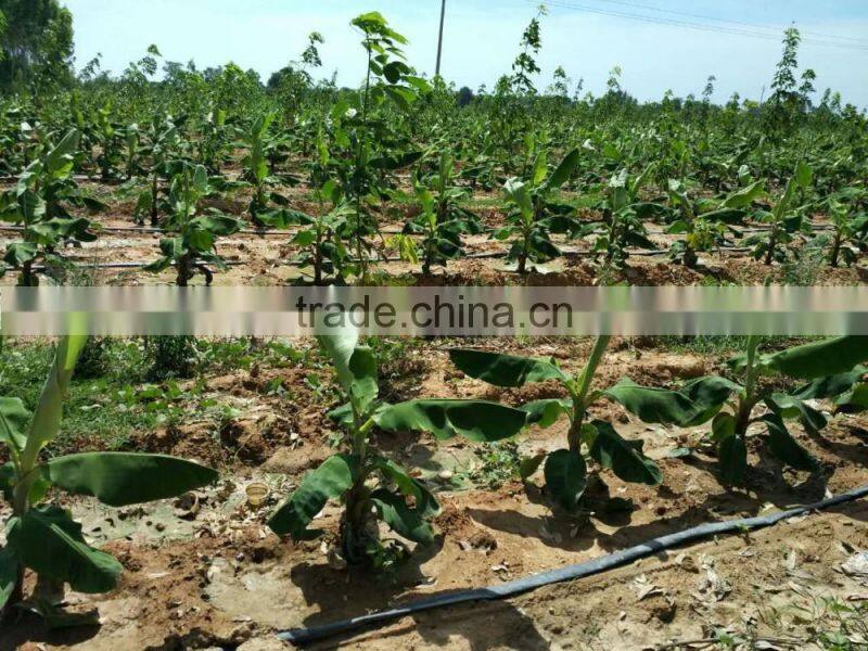 Sprinkler Irrigation Farm Sprinkler Hose in Irrigation System