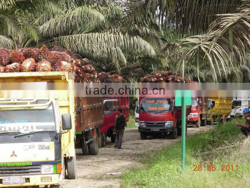 China best supplier 60TPH palm oil milling plant in Ghana 2016