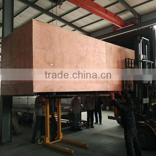 stainless steel fish washing cleaning machine