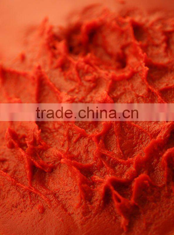 TY-619 Tomato Ketchup Production Line (Video)