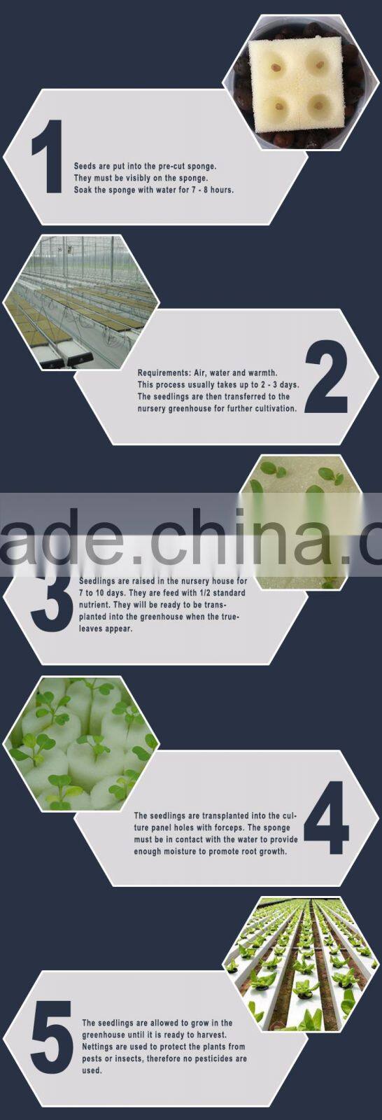 144 Pcs 1" Inch Cube Precut Sponge NFT DRFT Hydroponics Aeroponics Plant Seed
