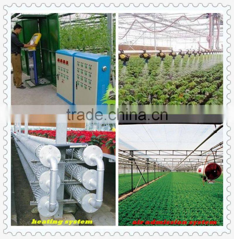 Customer design commercial glass greenhouses for roses/strawberry/tomatoes planting