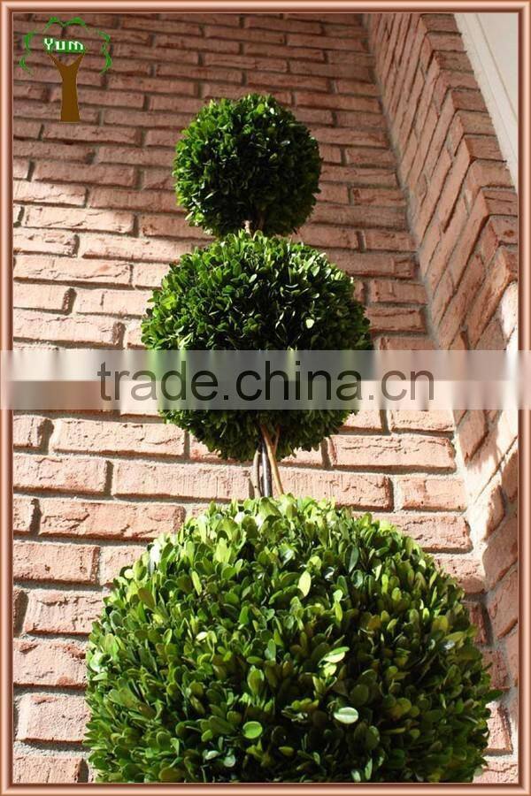 Preserved boxwood triple balls tree topiary