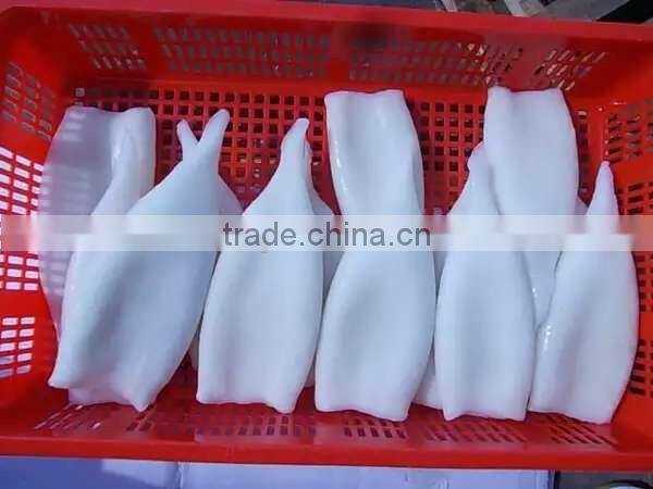 Newly Hot Selling Frozen Illex Squid Tube for sale