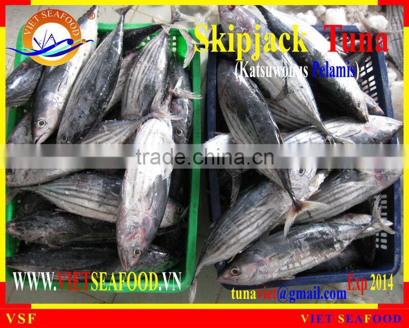 W/R FROZEN SKIPJACK TUNA