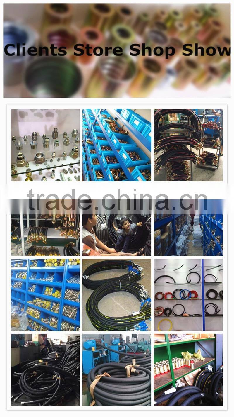 Female Thread Swaged Hydraulic Hose pipe Fittings