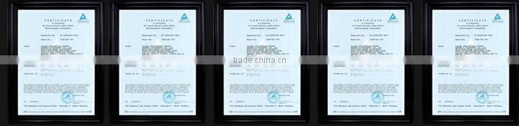 Portable suzuki gasoline Generator for home use