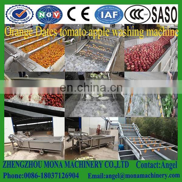 Fruit vegetable washing machine/Leafy Vegetable Cleaning Machine/air bubble vegetable and fruit washing machine