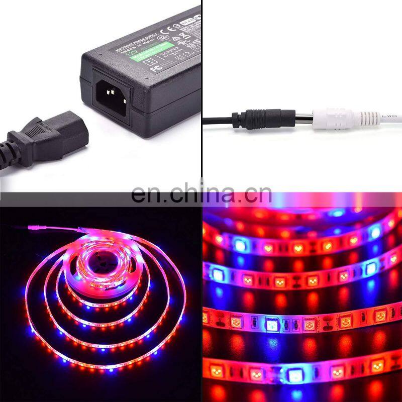 SMD 5050 4 Red 1 Blue plant grow lighting waterproof led grow light strips for microgreens lettuce