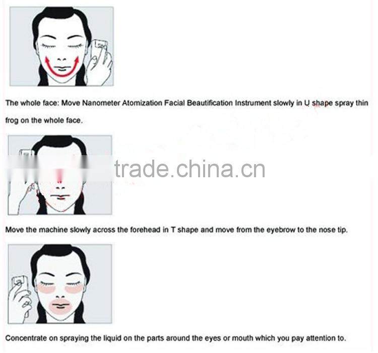 2015 Nano Handy Mist Sprayer & Beauty Salon Mini Facial Humidifier