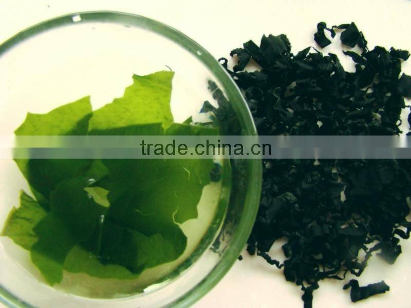 Dry wakame Cut For Miso Soup