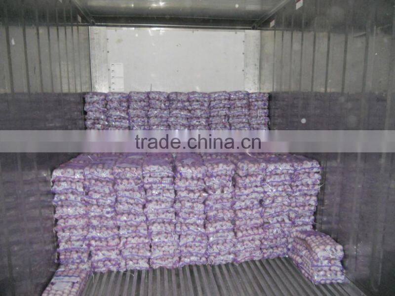 Jinxiang Garlic Normal White Fresh Garlic New Crop