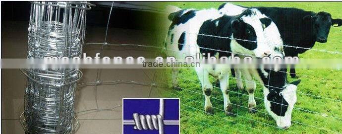 High quality hinge-lock sheep field fence shanghai