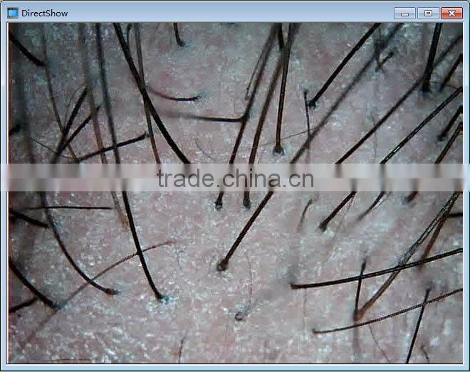 Digital WIFI USB Microscope 200x Zoom 6 LED IOS Ipod Iphone Android PC Video Photo 720P High Definition microscope
