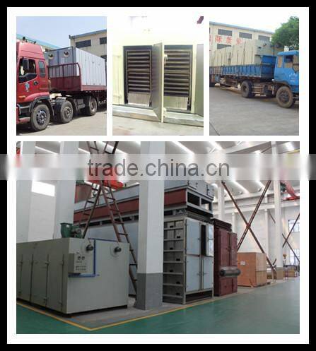 CT series Hot air circulating drying oven for cherry tomato