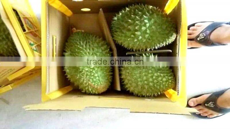VIET NAM DURIAN- monthong durian