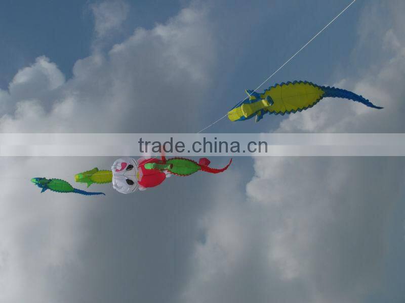 beautiful sunny flower inflatable kite