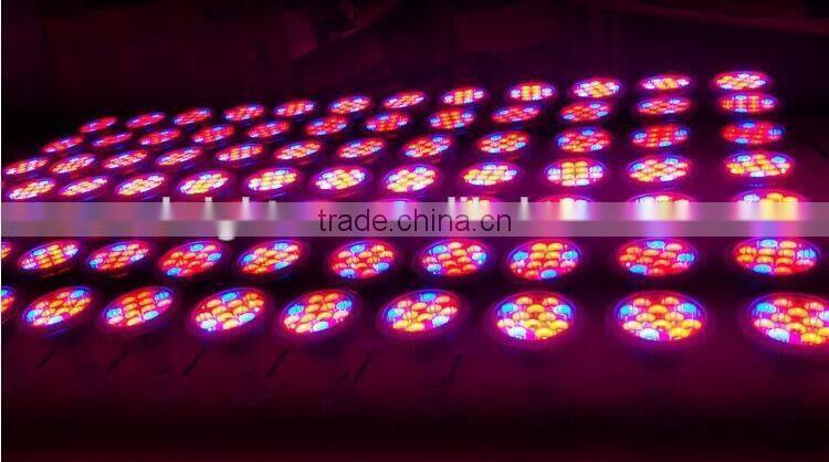 High Quality 5w chip new adjustable E27 cob led grow light