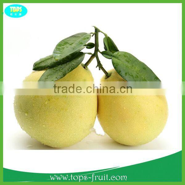 2015 new Chinese fresh grapefruit honey pomelo for selling